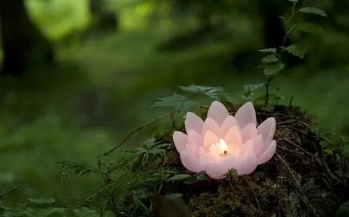 望穿秋水中的秋水指的是什么？这一成语的来源是什么？