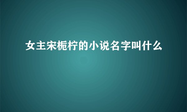 女主宋栀柠的小说名字叫什么