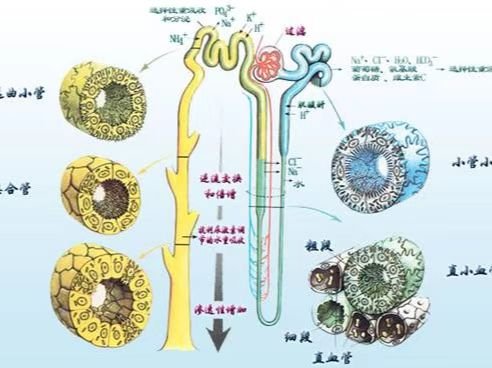 第一次之后的感受？
