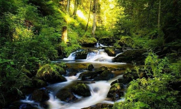 徘徊溪上,为之怅然 翻译