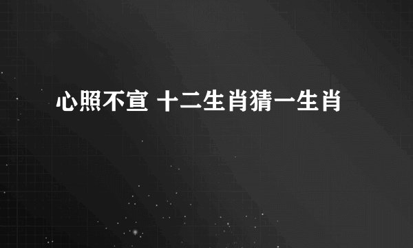 心照不宣 十二生肖猜一生肖