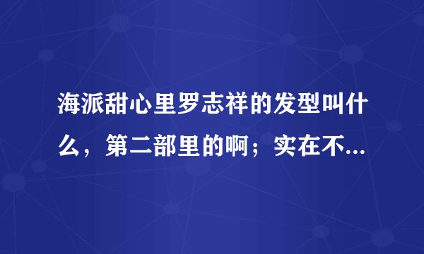 海派甜心里罗志祥的发型叫什么，第二部里的啊；实在不知道话就发几张侧面 ，正面，等等的图片发到我的邮箱