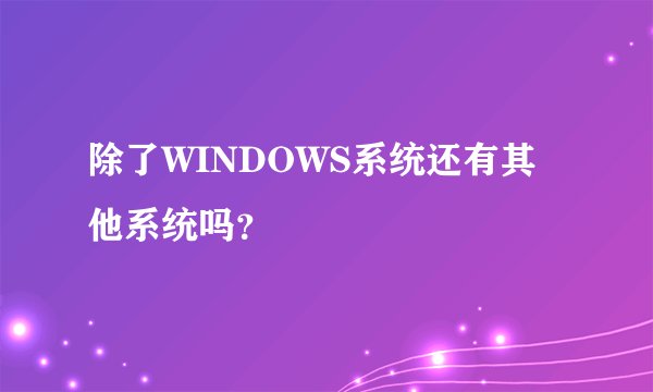 除了WINDOWS系统还有其他系统吗？