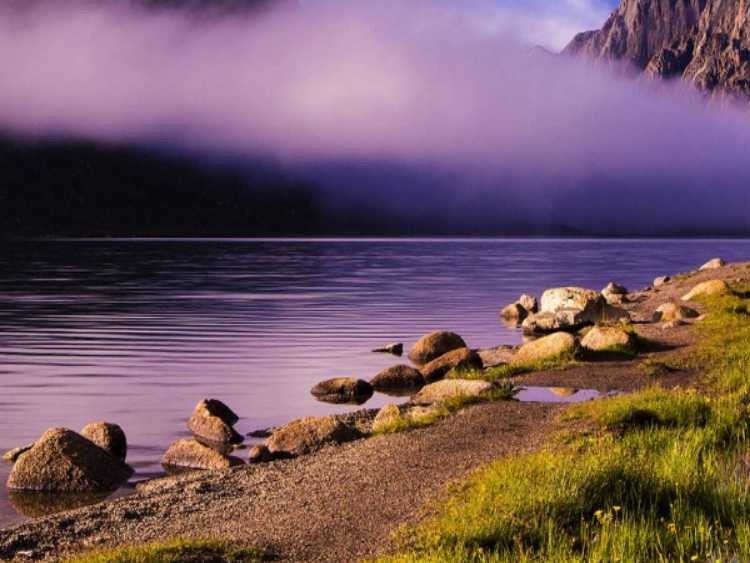 移动语音信箱怎样开通？