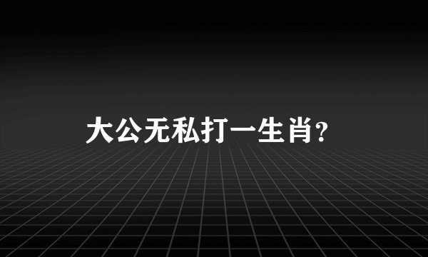 大公无私打一生肖？