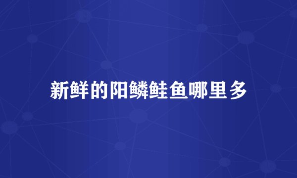 新鲜的阳鳞鲑鱼哪里多