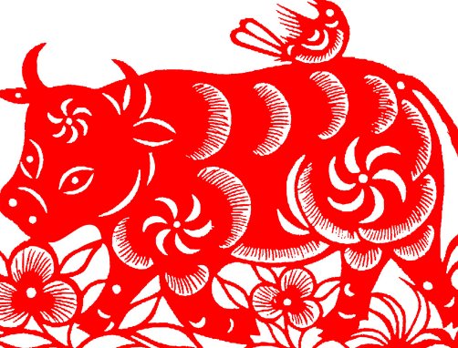 牛毛细雨指什么生肖