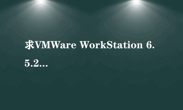 求VMWare WorkStation 6.5.2 156735 序列号