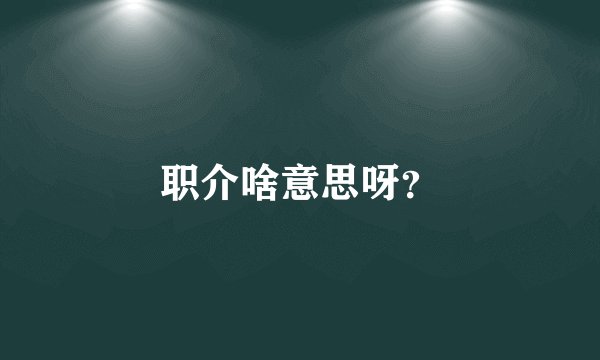 职介啥意思呀？