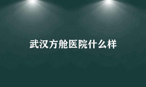 武汉方舱医院什么样