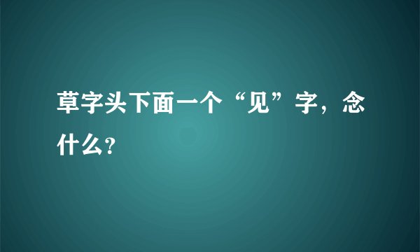 草字头下面一个“见”字，念什么？