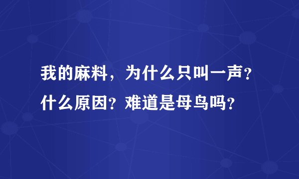 我的麻料，为什么只叫一声？什么原因？难道是母鸟吗？