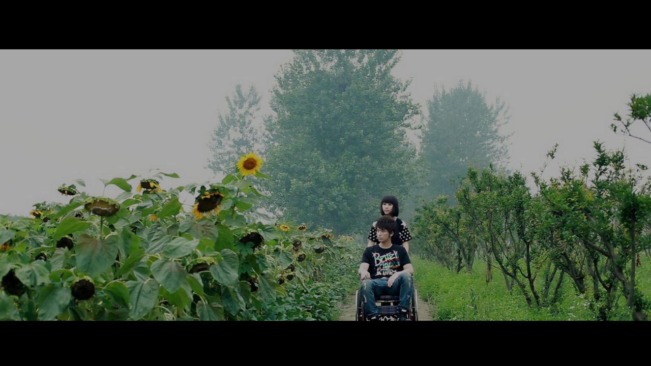 爱在日出前的影片信息