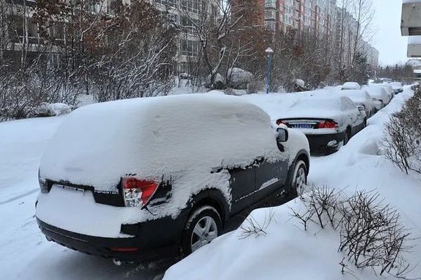 哈尔滨暴雪过后又来冻雨，当地的受灾情况如何？