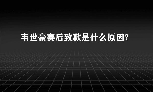 韦世豪赛后致歉是什么原因?