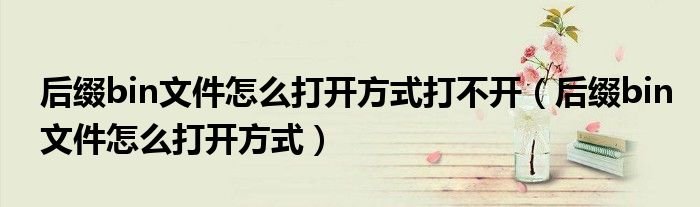 后缀bin文件怎么打开方式打不开后缀bin文件怎么打开方式