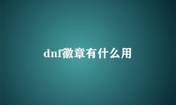 dnf徽章有什么用
