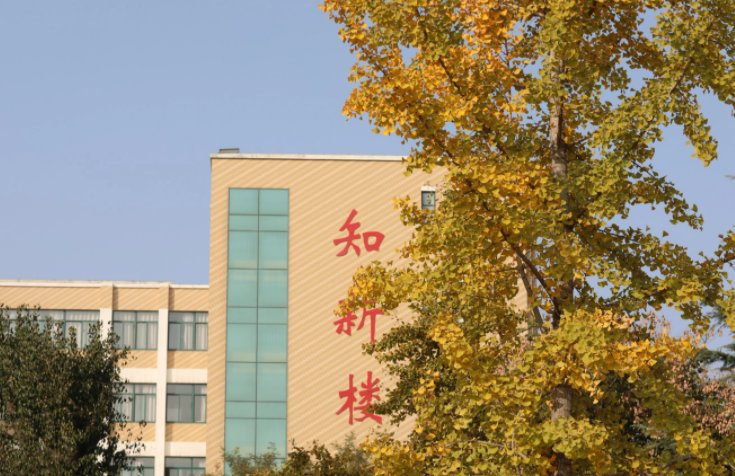 山东现代职业技术学院怎么样