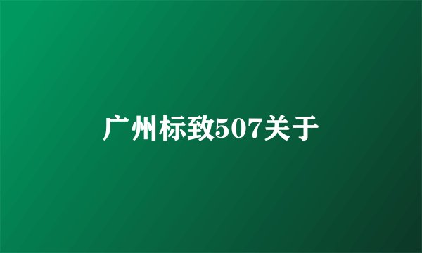 广州标致507关于
