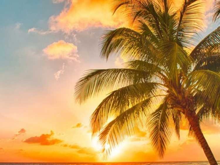 移动语音信箱怎样开通？