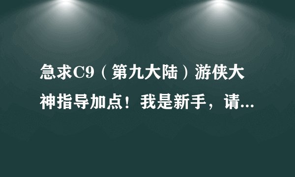 急求C9(第九大陆)游侠大神指导加点!我是新手,请附截图,详细加点哦,谢谢!!感激不尽!