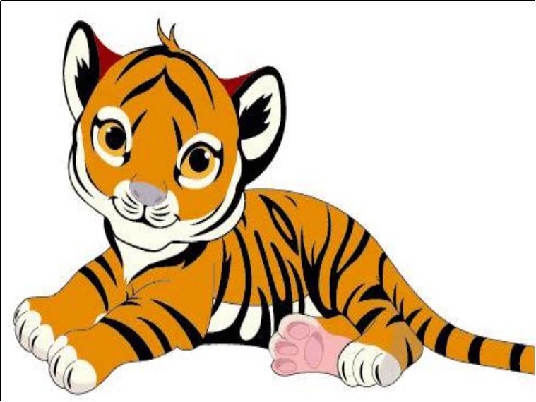 假阶救火是什么生肖