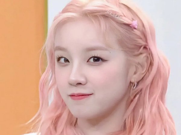 奔跑吧新一季成员名单