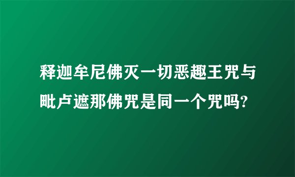 释迦牟尼佛灭一切恶趣王咒与毗卢遮那佛咒是同一个咒吗?
