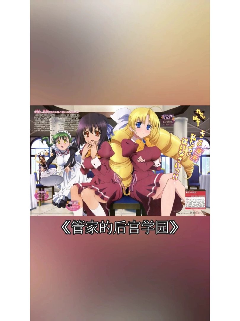 假期推荐8部经典校园后宫番超好看