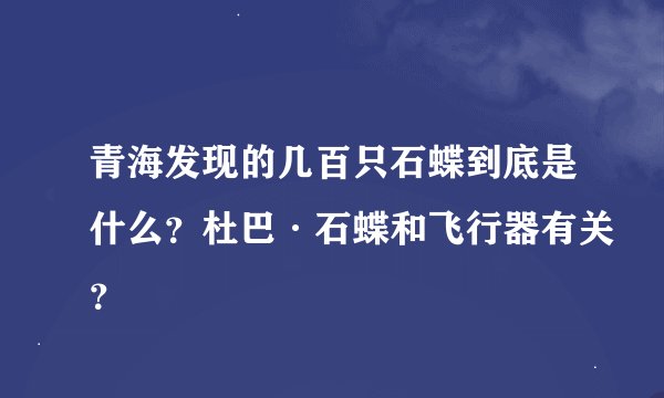 青海发现的几百只石蝶到底是什么？杜巴·石蝶和飞行器有关？