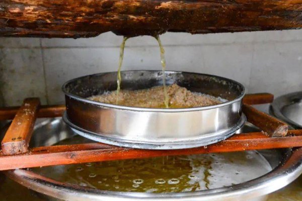 榨组词偏旁部首