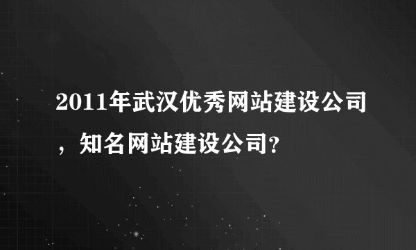 2011年武汉优秀网站建设公司，知名网站建设公司？
