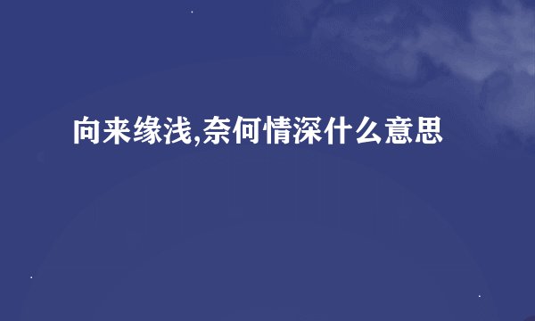向来缘浅,奈何情深什么意思