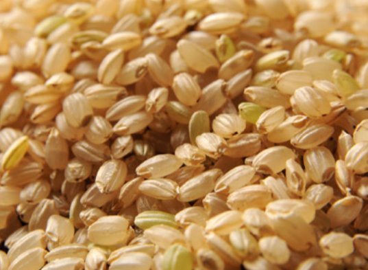 brown rice是什么意思