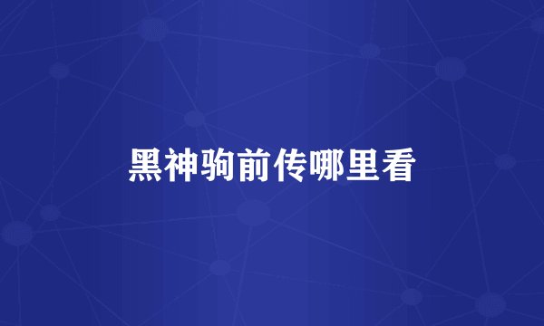 黑神驹前传哪里看