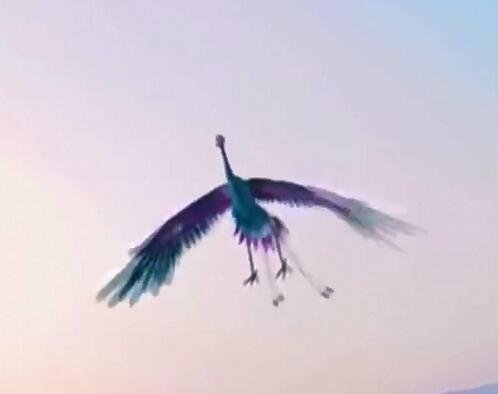 精卫填海的结局