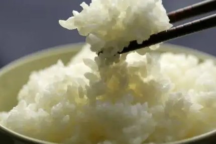 白吃干饭的意思