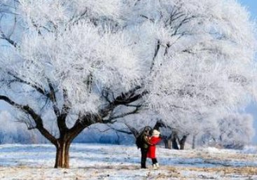 和雪有关的网名