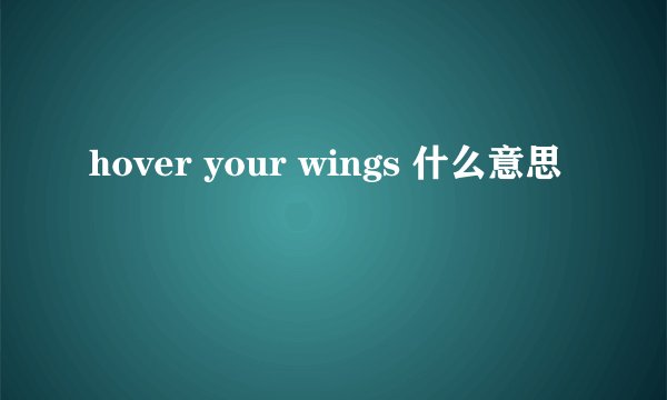 hover your wings 什么意思