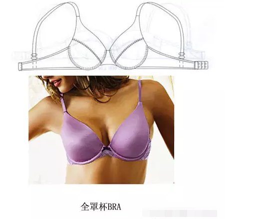 文胸的罩杯如何选择