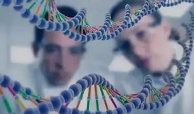 完整人类基因组首次被破译，本研究成果的关键进展利用了什么新的技术设备？