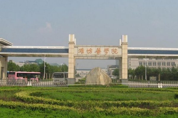 潍坊医学院专科分数线多少？