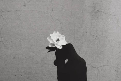 女业主不雅视频发到业主群，老公在外地隔离，发布者需承担哪些责任？