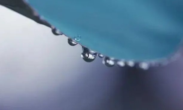 月光所照皆是故乡谁写的