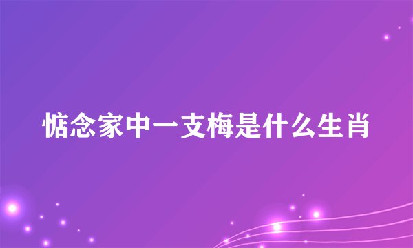 惦念家中一支梅是什么生肖