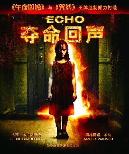 夺命回声的介绍