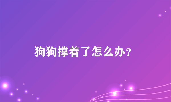 狗狗撑着了怎么办？