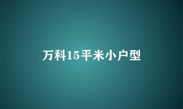 万科15平米小户型