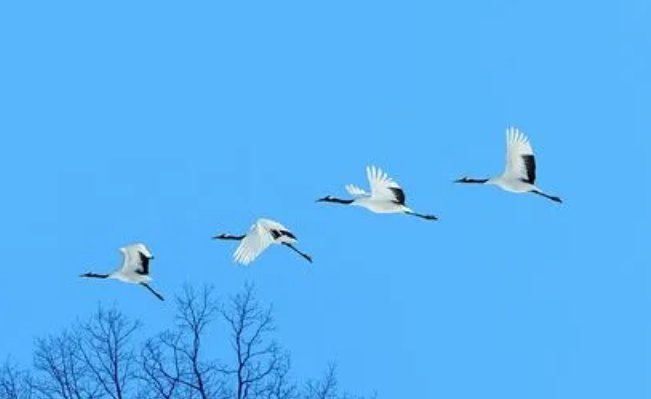 哪句诗是描写秋天的景色蚂蚁庄园