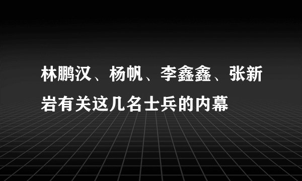 林鹏汉、杨帆、李鑫鑫、张新岩有关这几名士兵的内幕